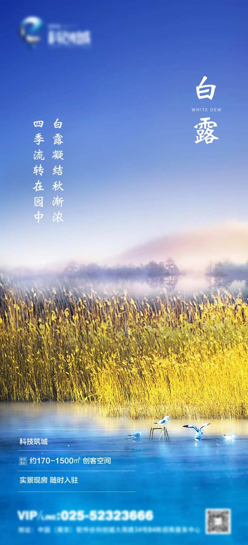 地产白露节气移动端海报-采灵感-cailinggan.com