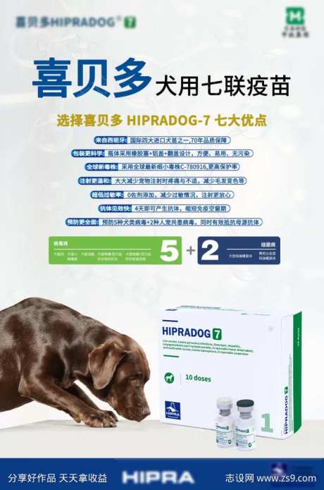 犬用疫苗医疗健康宣传海报-采灵感-https://www.cailinggan.com/