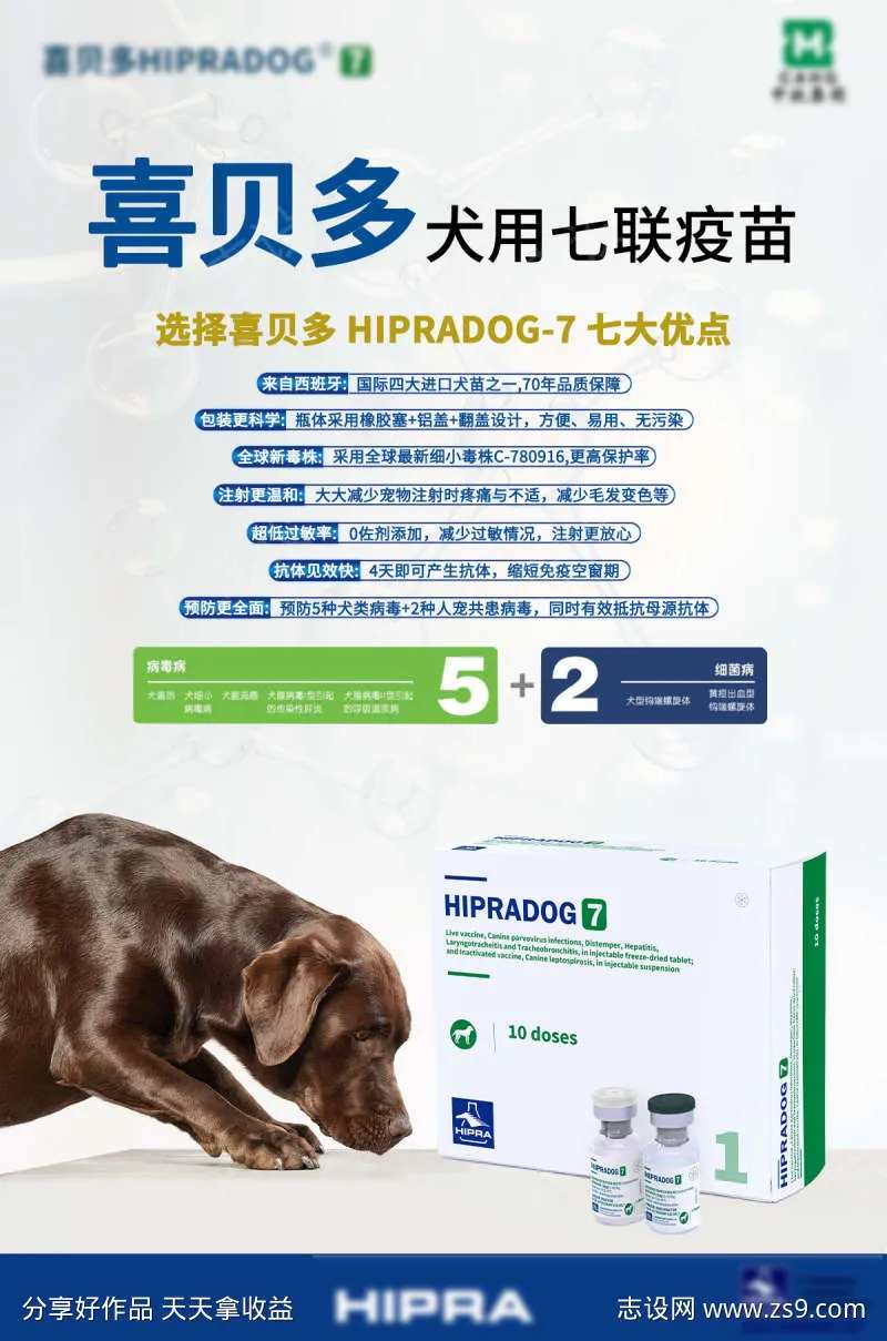 犬用疫苗医疗健康宣传海报-采灵感-cailinggan.com