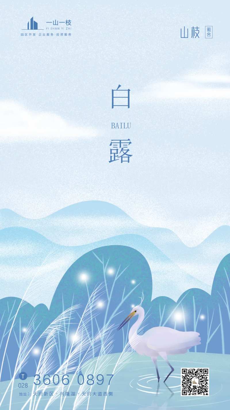二十四节气白露插画海报-采灵感-cailinggan.com