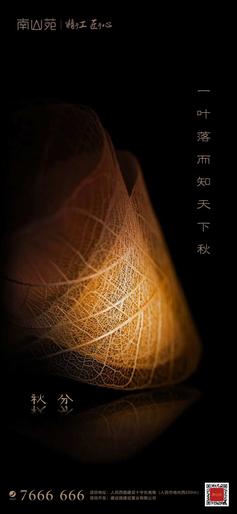 黑金秋分-采灵感-cailinggan.com
