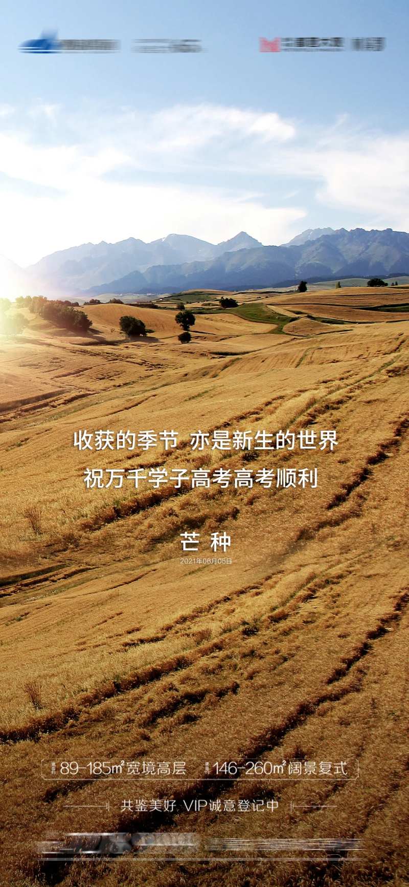 芒种地产海报-采灵感-cailinggan.com