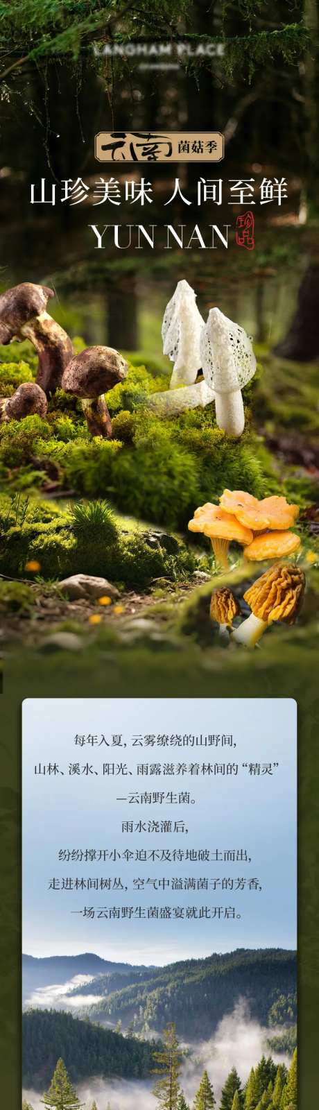 云南美食节电商详情页-采灵感-https://www.cailinggan.com/