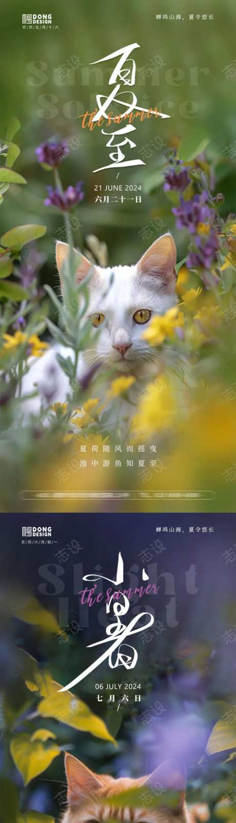 夏至小暑大暑小猫海报-采灵感-https://www.cailinggan.com/