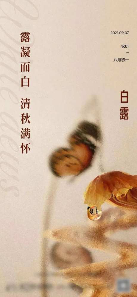 地产白露24节气海报-采灵感-https://www.cailinggan.com/
