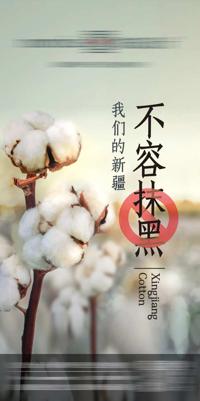 新疆棉花-采灵感-cailinggan.com