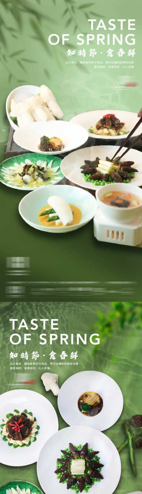 菌菇海报-采灵感-https://www.cailinggan.com/