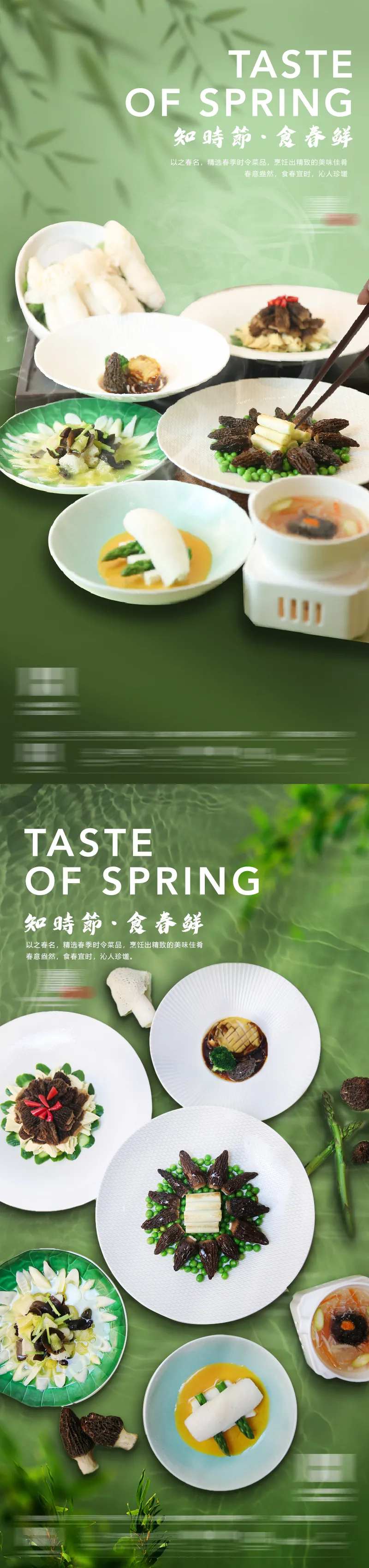 菌菇海报-采灵感-cailinggan.com