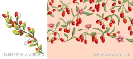 植物花纹插画-采灵感-https://www.cailinggan.com/