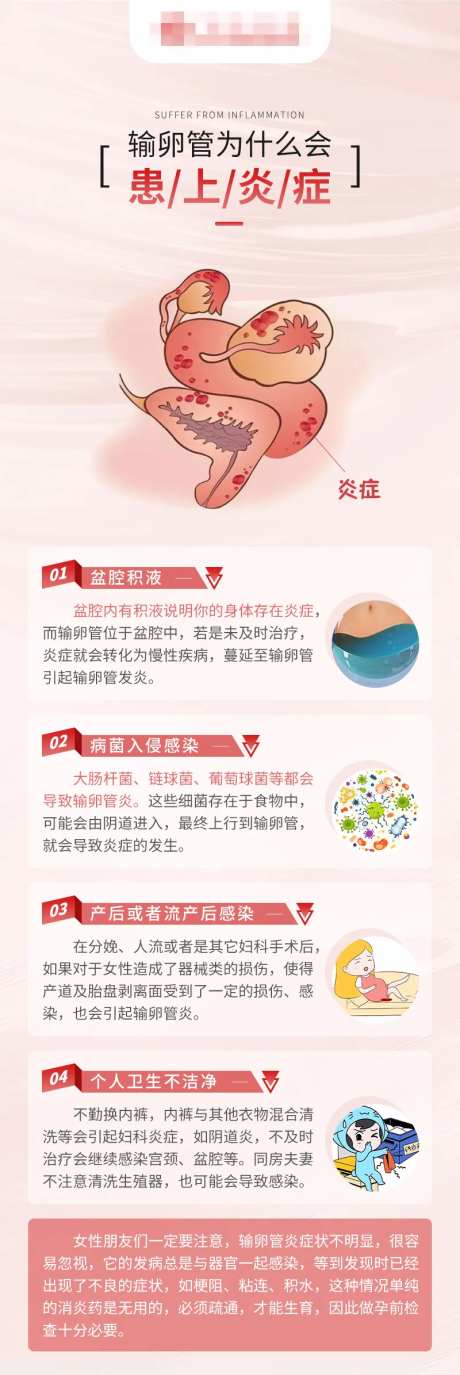 不孕科普输卵管炎症-采灵感-https://www.cailinggan.com/