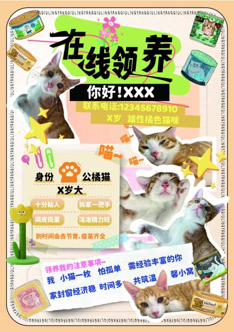 宠物领养-采灵感-https://www.cailinggan.com/