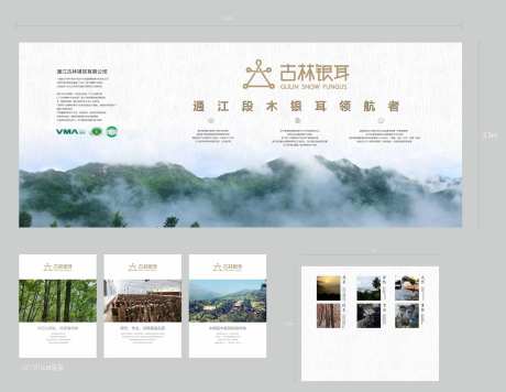 银耳宣传海报-采灵感-https://www.cailinggan.com/