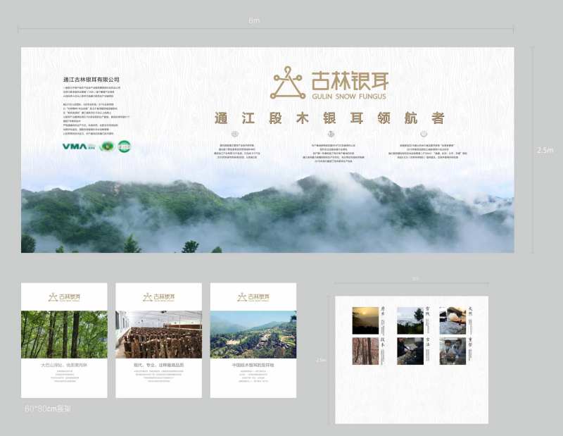 银耳宣传海报-采灵感-cailinggan.com