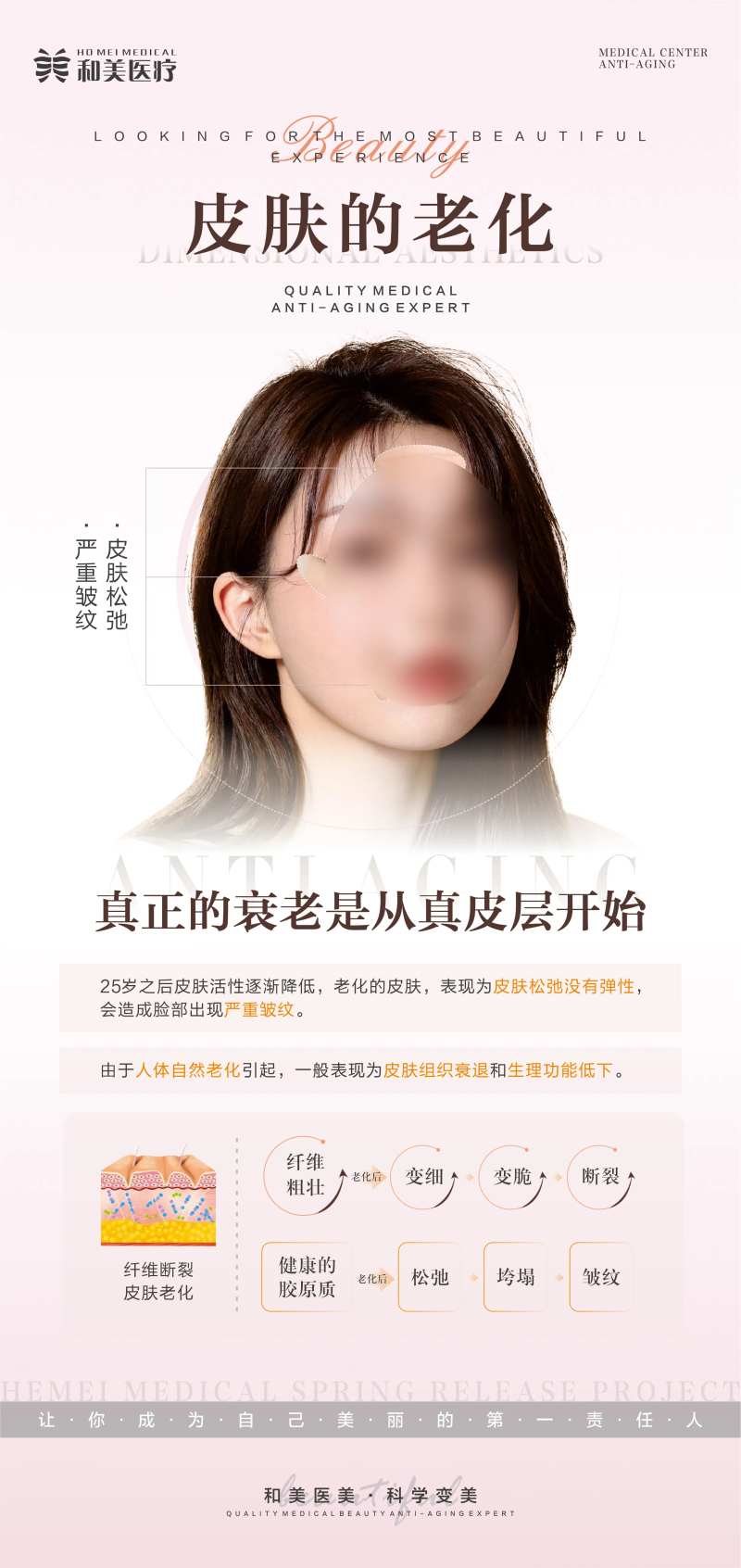 皮肤的老化科普海报-采灵感-cailinggan.com