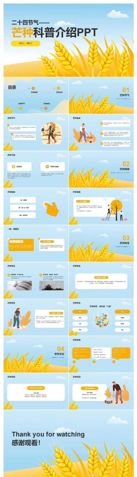 二十四节气芒种科普介绍PPT-采灵感-https://www.cailinggan.com/