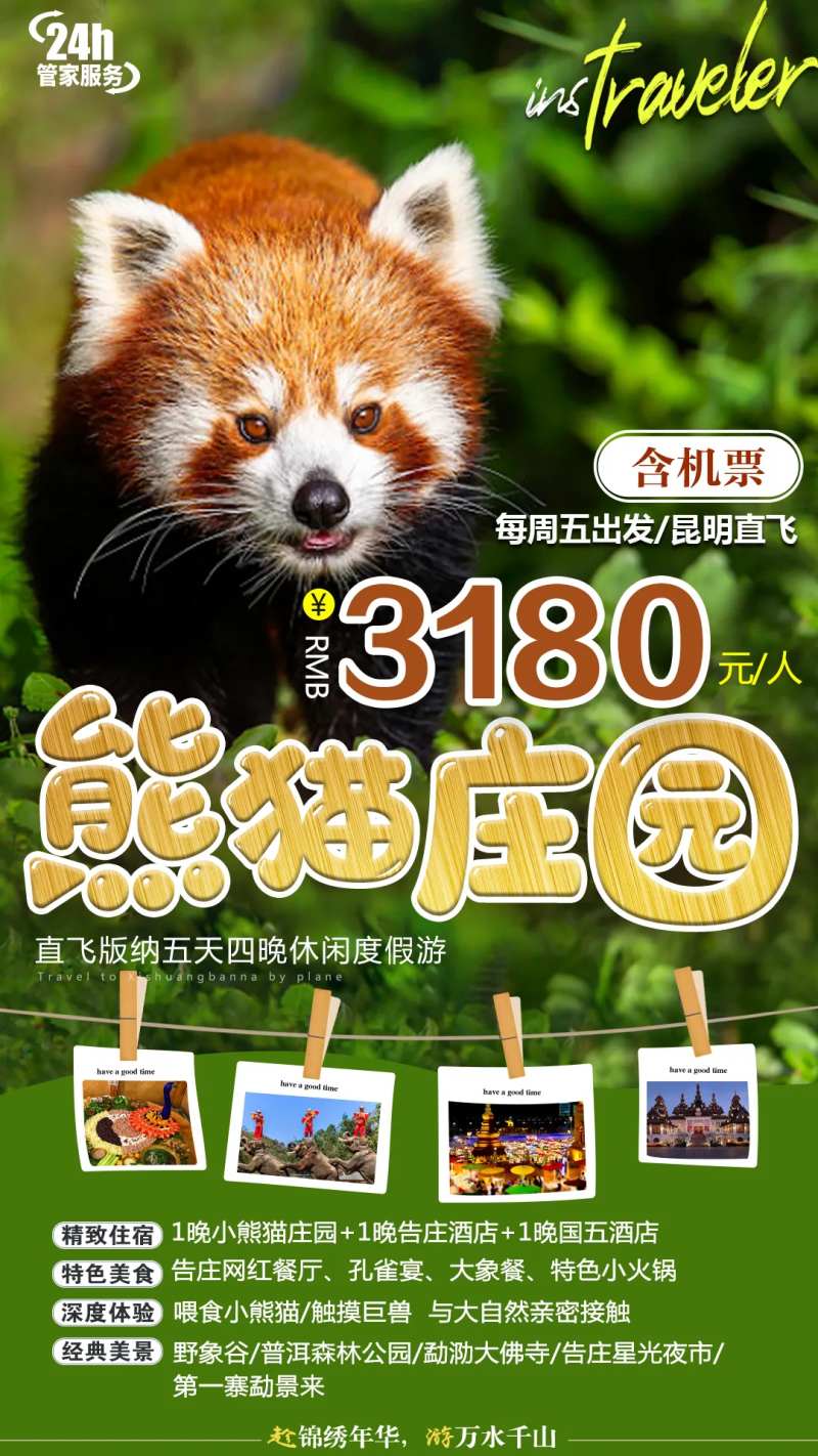 版纳熊猫庄园海报-采灵感-cailinggan.com