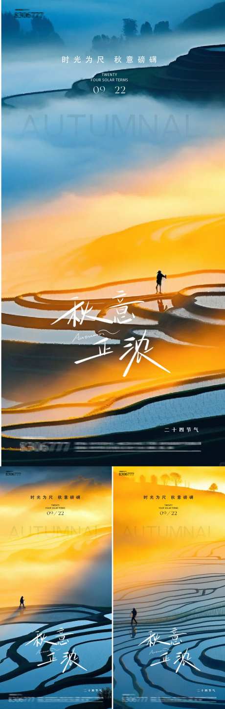秋分24节气梯田海报-采灵感-https://www.cailinggan.com/