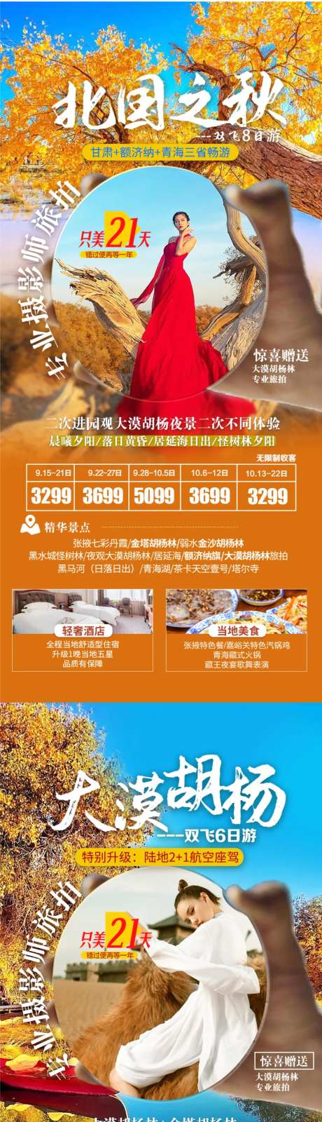 西北青甘额济纳旅游海报-采灵感-https://www.cailinggan.com/