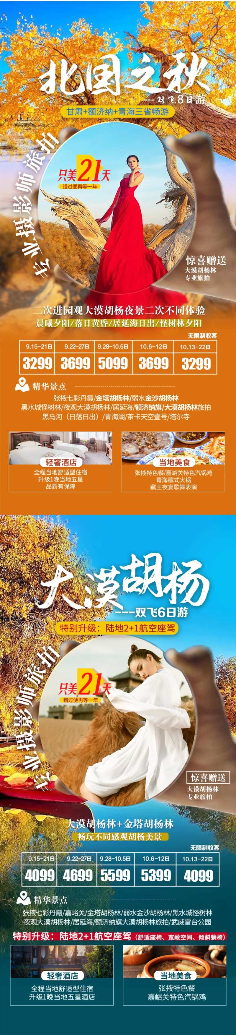 西北青甘额济纳旅游海报-采灵感-cailinggan.com