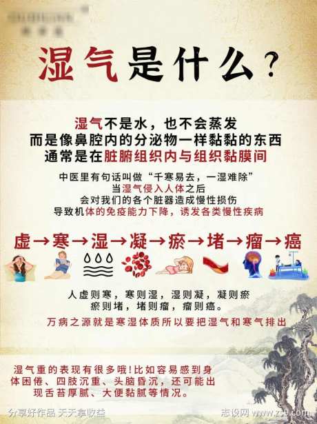 中医湿气科普-采灵感-https://www.cailinggan.com/