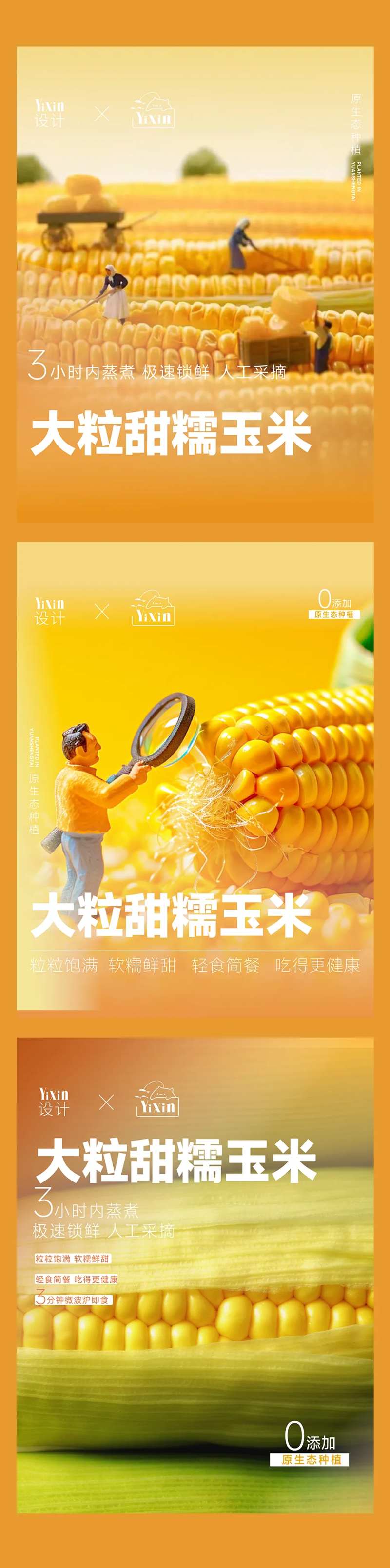 玉米食品食物速食品海报-采灵感-cailinggan.com