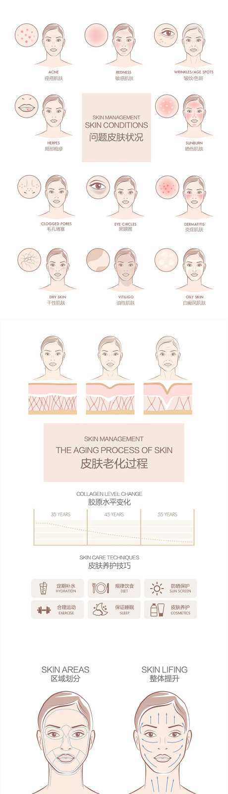 皮肤管理皮肤抗衰皮肤状态示意电商详情-采灵感-https://www.cailinggan.com/