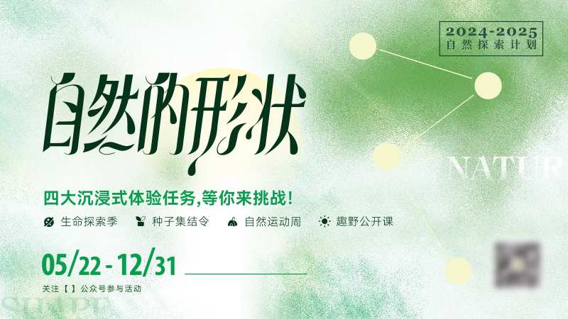 自然的形状主画面-采灵感-cailinggan.com