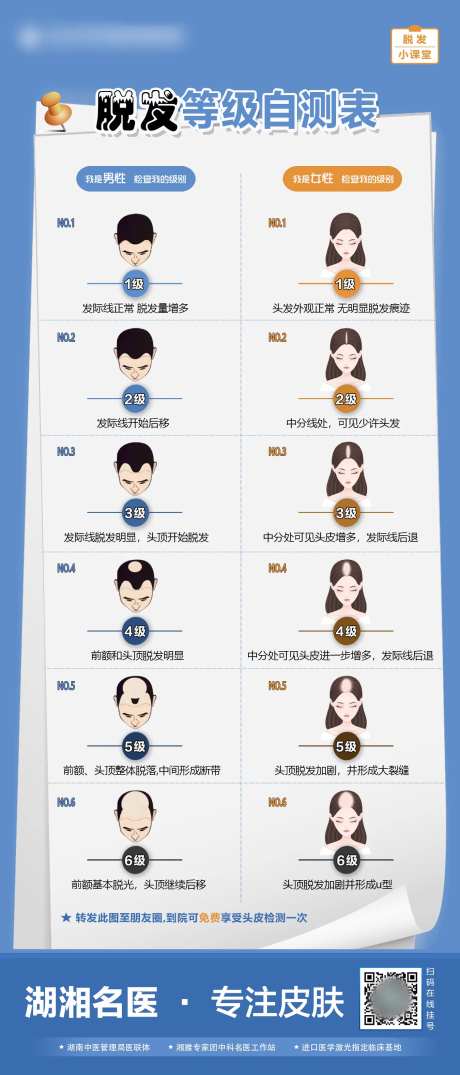 脱发等级自测表-采灵感-https://www.cailinggan.com/