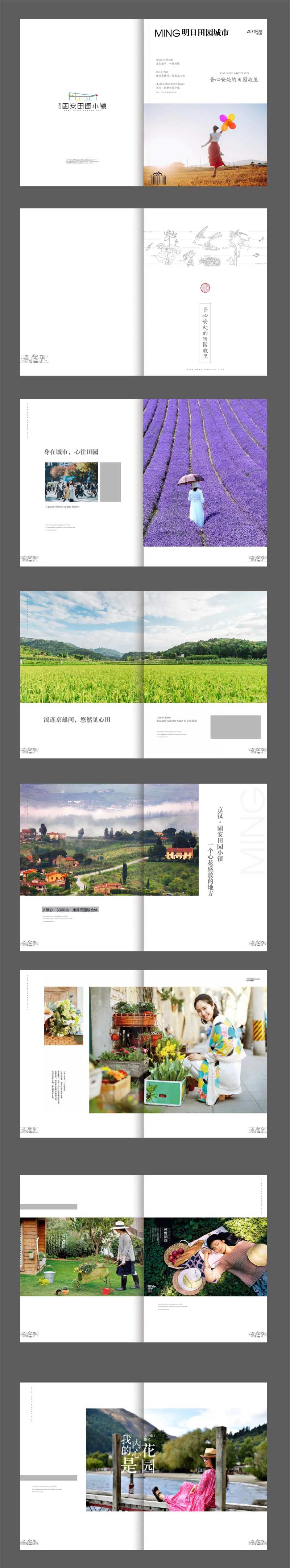 宣传册设计-采灵感-cailinggan.com