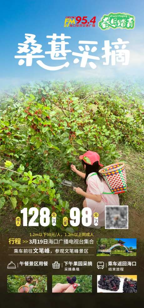 桑葚采摘简约海报-采灵感-https://www.cailinggan.com/