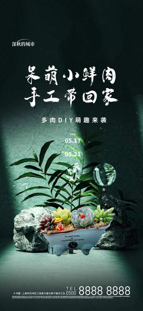 多肉DIY活动-采灵感-https://www.cailinggan.com/