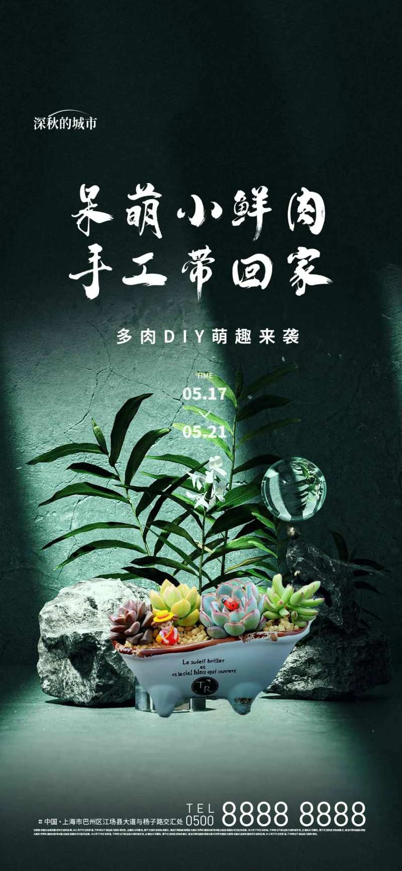 多肉DIY活动-采灵感-cailinggan.com