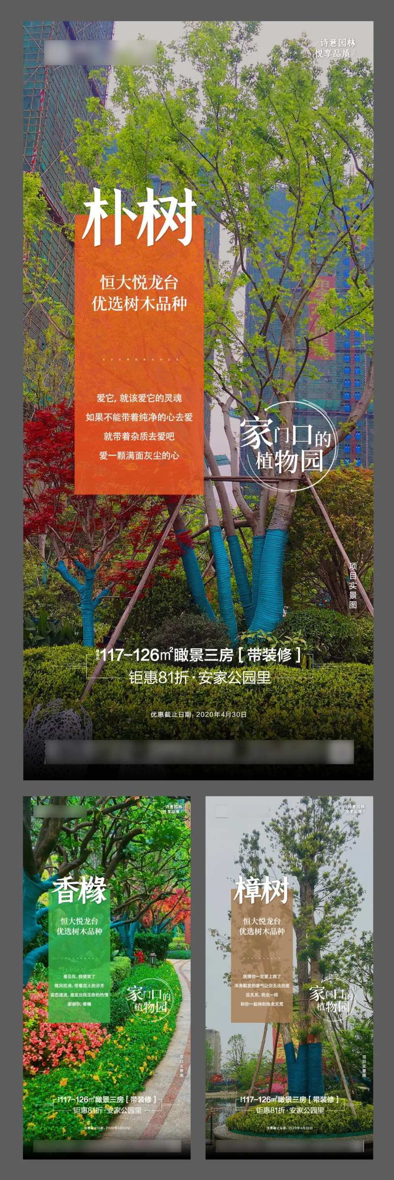 地产园林植物图鉴系列海报-采灵感-cailinggan.com
