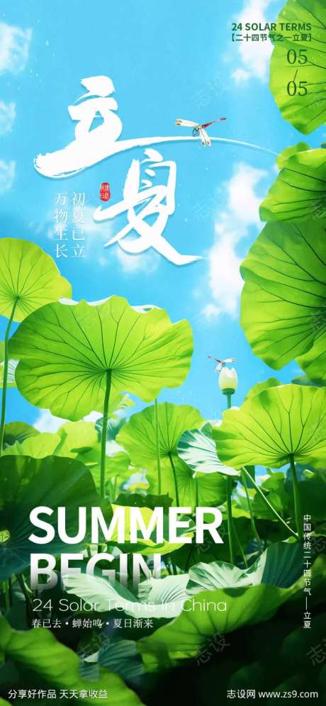 立夏荷花蜻蜓节气海报-采灵感-https://www.cailinggan.com/