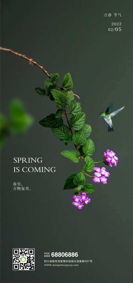 墨绿色立春海报-采灵感-https://www.cailinggan.com/