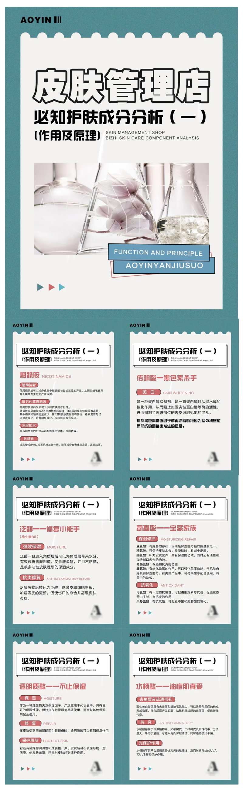 皮肤管理必知成分小常识海报展板-采灵感-cailinggan.com