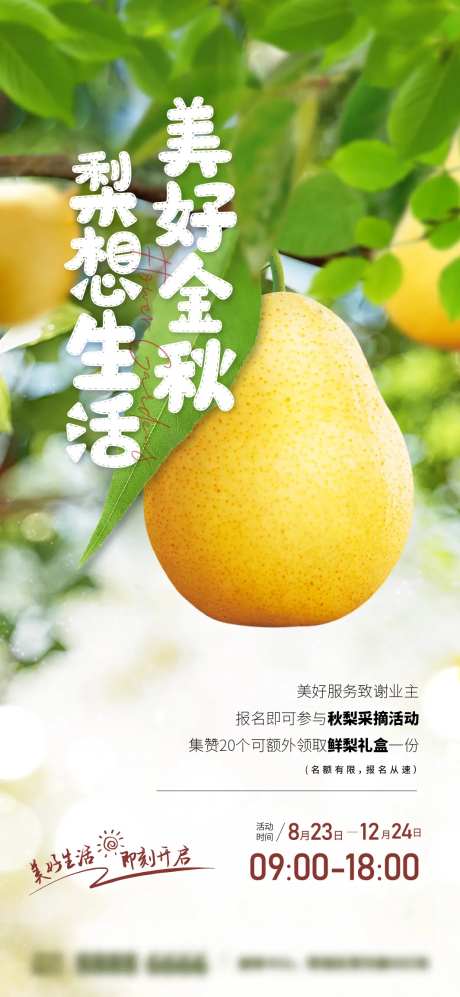 秋梨礼品海报-采灵感-https://www.cailinggan.com/