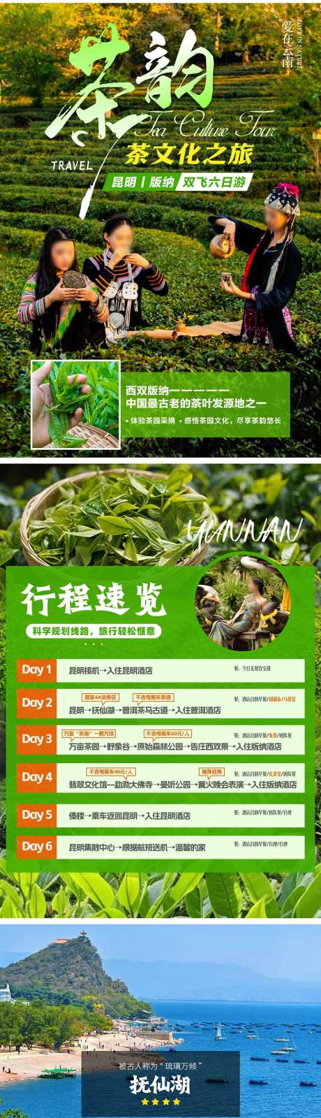 茶韵茶文化之旅宣传图行程图-采灵感-https://www.cailinggan.com/