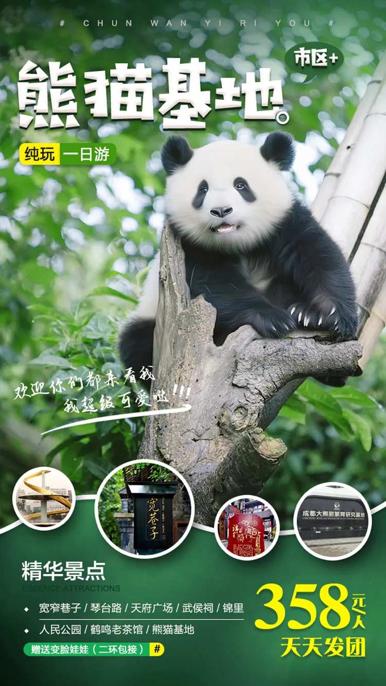 熊猫基地旅游海报-采灵感-cailinggan.com