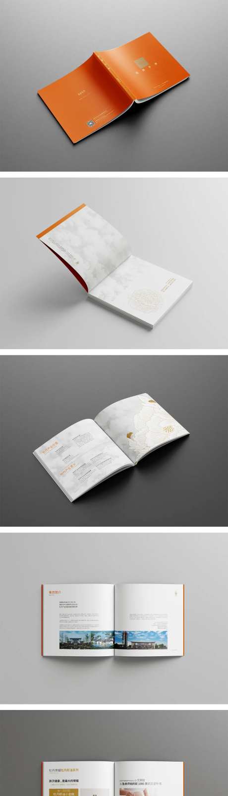 高端企业品牌项目手册-采灵感-https://www.cailinggan.com/