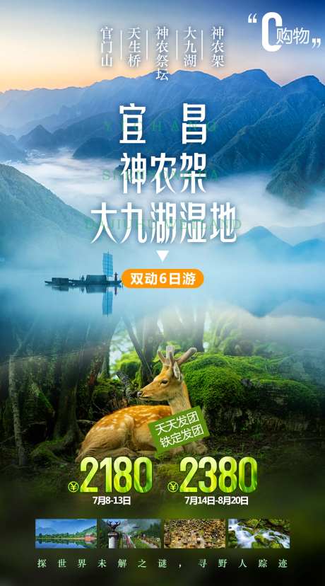 神农架湖北旅游海报-采灵感-https://www.cailinggan.com/