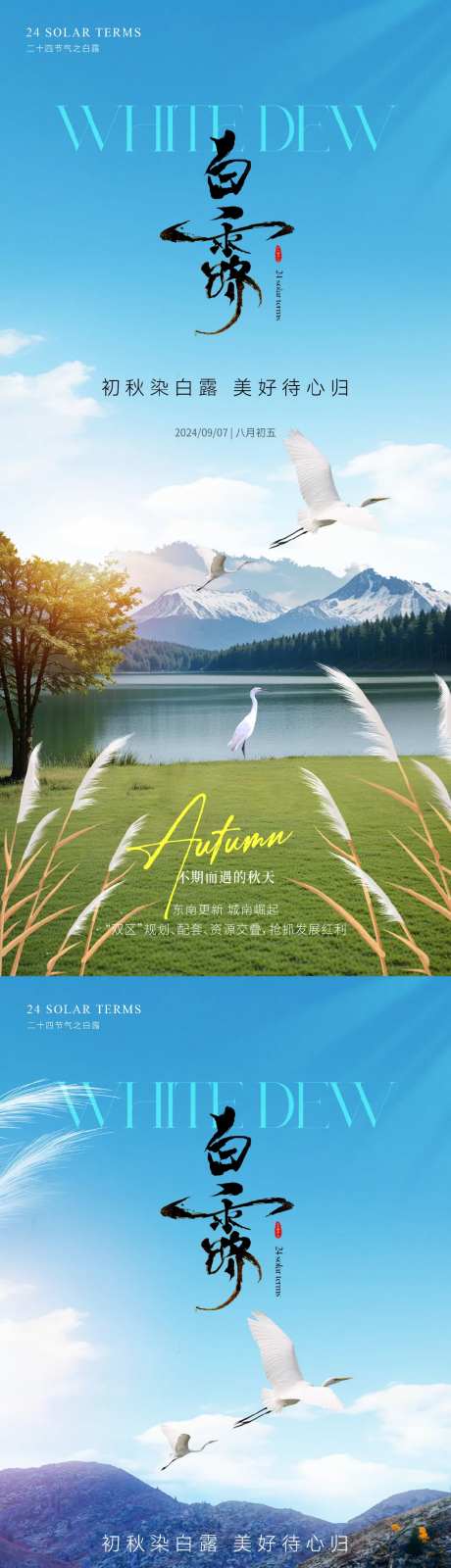 白露实景园林节气海报-采灵感-https://www.cailinggan.com/