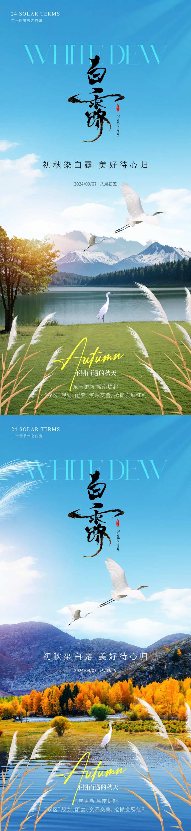 白露实景园林节气海报-采灵感-cailinggan.com