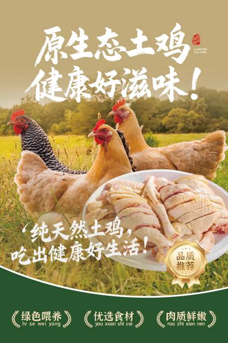 鲜鸡肉海报-采灵感-https://www.cailinggan.com/