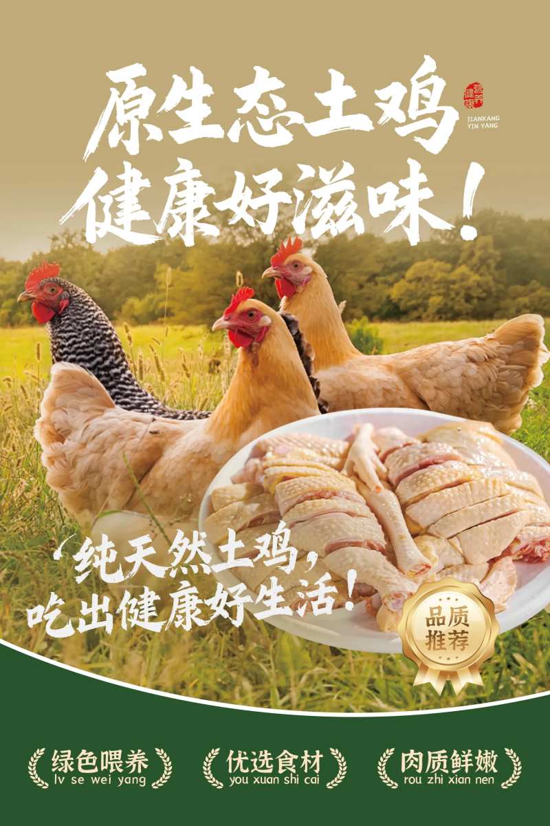 鲜鸡肉海报-采灵感-cailinggan.com