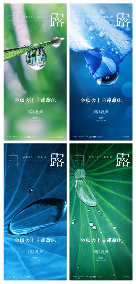 白露寒露二十四时节日节气稿-采灵感-https://www.cailinggan.com/