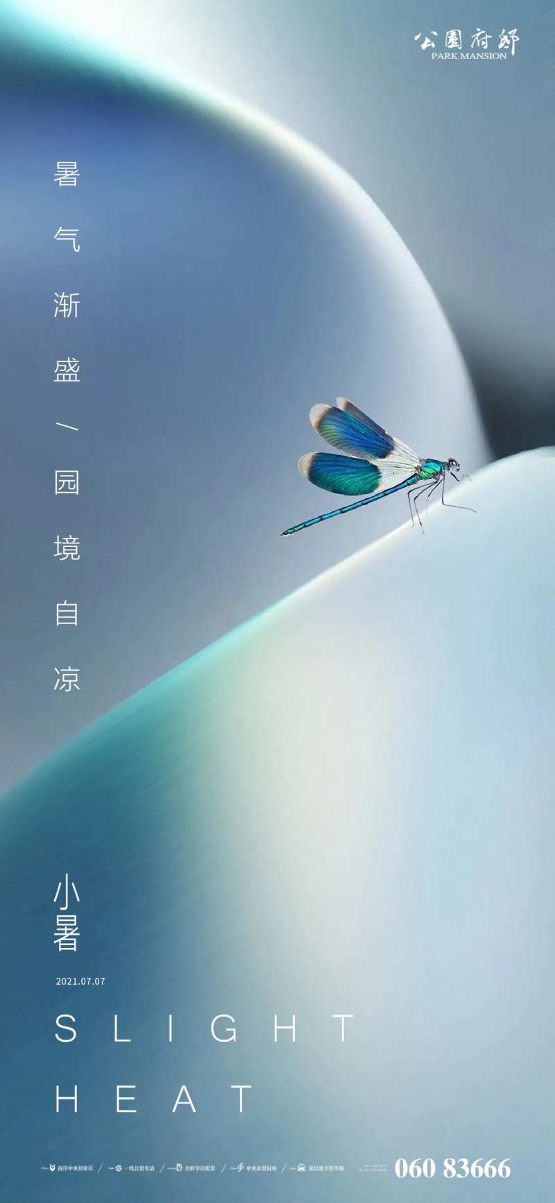 地产小暑节气海报-采灵感-cailinggan.com