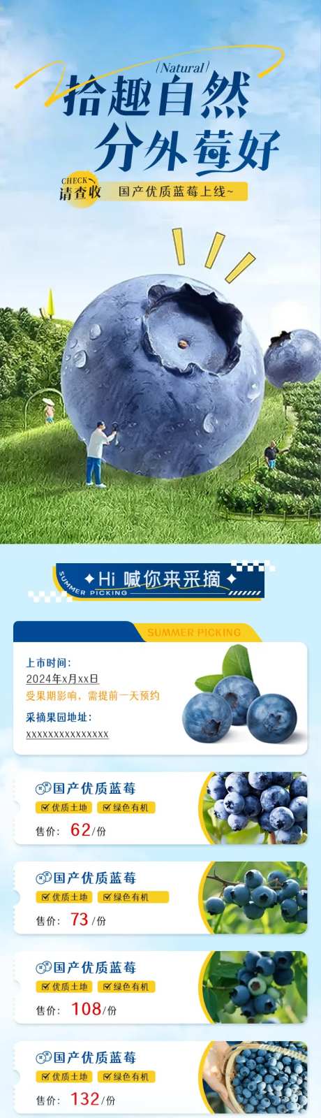 蓝莓采摘首页-采灵感-https://www.cailinggan.com/