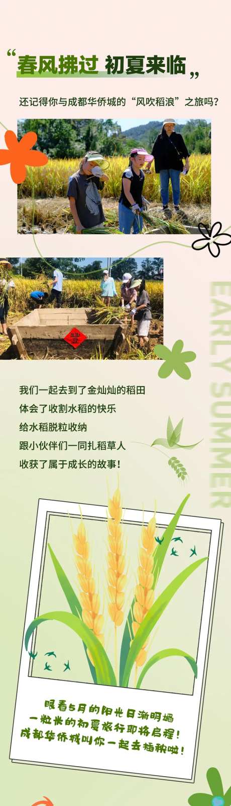 地产插秧插画海报-采灵感-https://www.cailinggan.com/