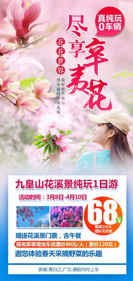 辛夷花1日游-采灵感-https://www.cailinggan.com/